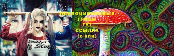 прущие грибы Валуйки