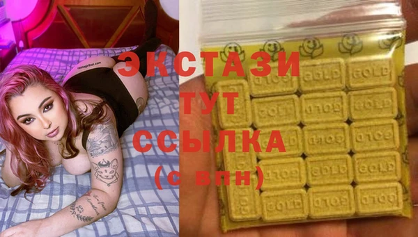 ECSTASY Елизово