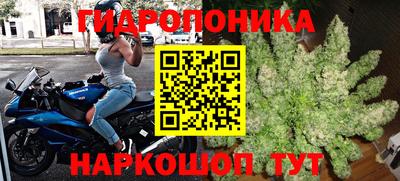 трава Камышлов