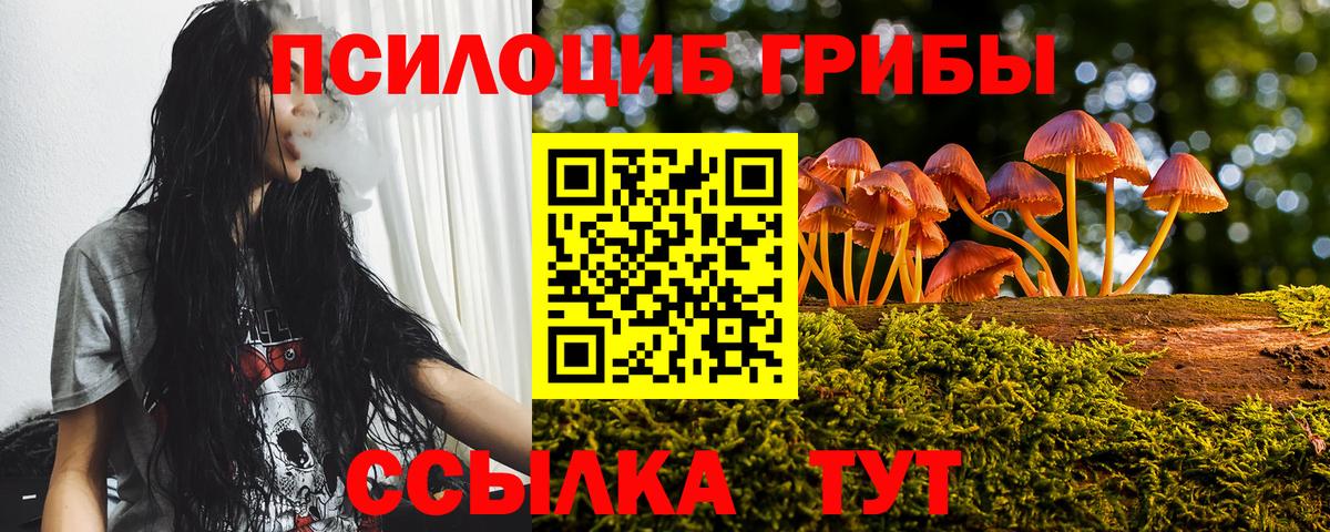 Галлюциногенные грибы Cubensis  Краснокаменск 