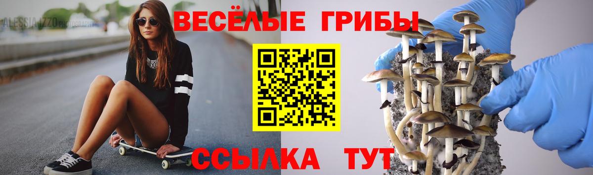 Псилоцибиновые грибы Magic Shrooms Краснокаменск