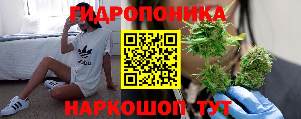 Каннабис OG Kush  Шишки марихуана VHQ  Шишки марихуана гибрид  Вход с VPN  Краснокаменск 